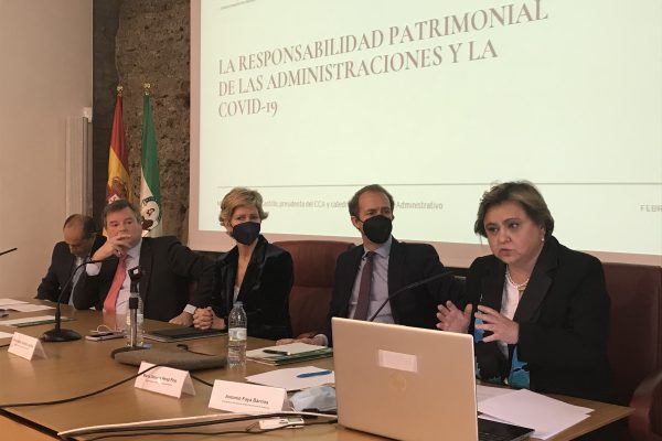 Una jornada analiza en el Consultivo el impacto del COVID en Andalucía