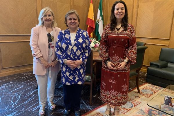 Consejo Consultivo y UGR diseñan un programa formativo conjunto que abordará el procedimiento administrativo y la responsabilidad sanitaria