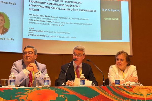 La presidenta del Consultivo analiza los diez años de la Ley 39/2015 en el 20º Congreso del Colegio de Abogados de Málaga